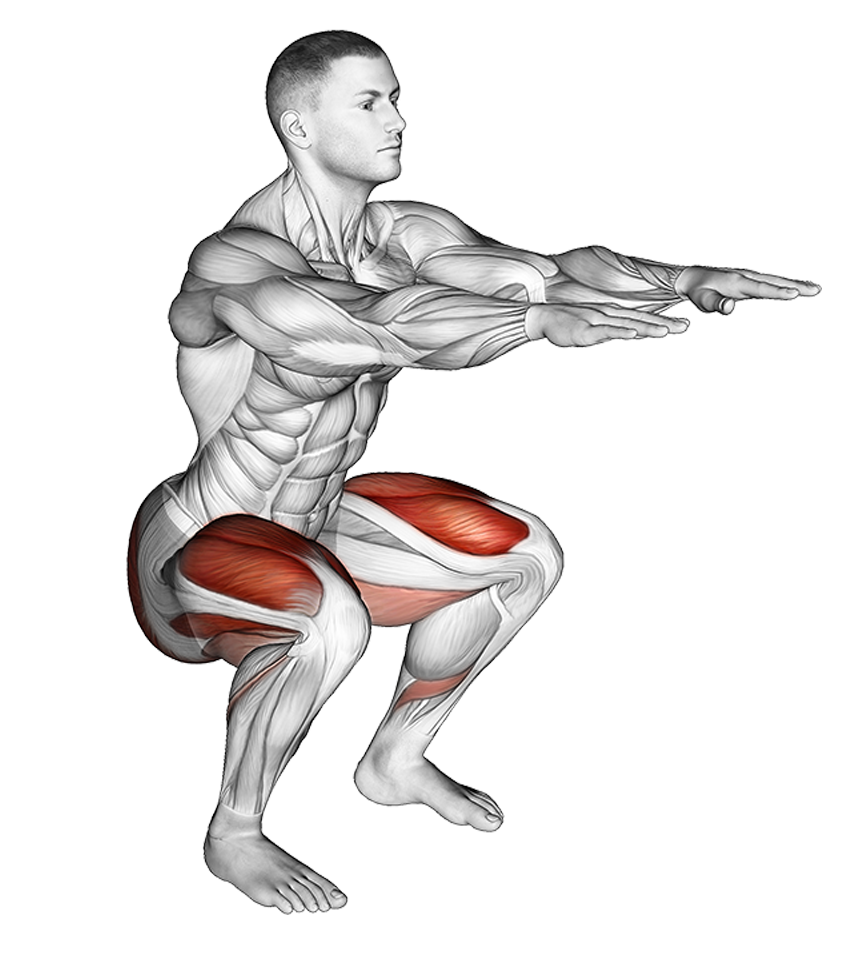 bodyweight-squat